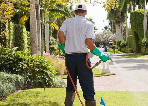 About Lowell NC Pest Control Pros